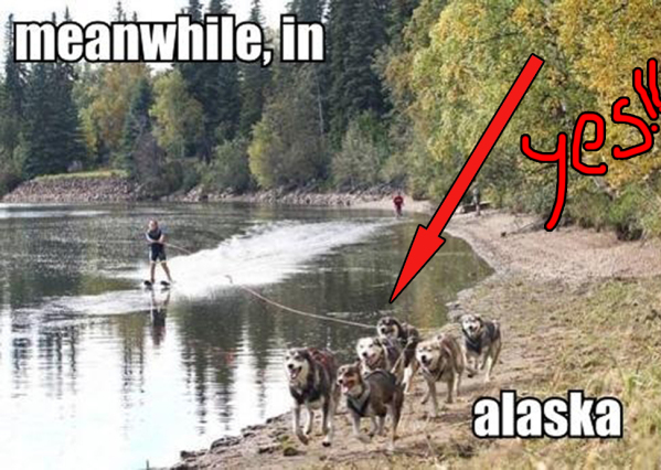 Meanwhile, In Alaska...