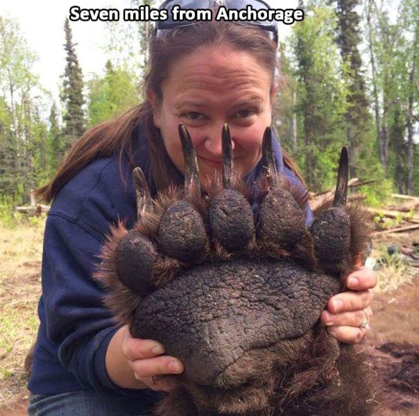 Meanwhile, In Alaska...