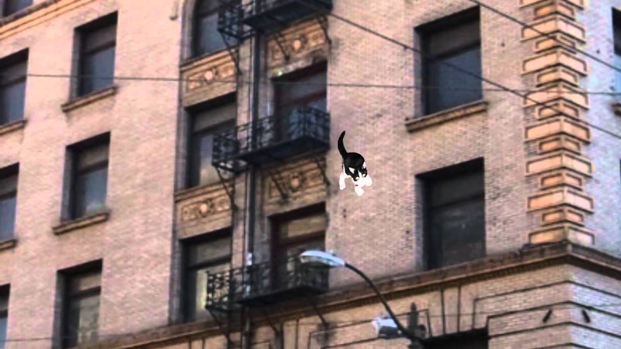 Studies show that if a cat falls off the seventh floor of a building it has about thirty percent less chance of surviving than a cat that falls off the twentieth floor. It supposedly takes about eight floors for the cat to realize what is occurring, relax and correct itself.