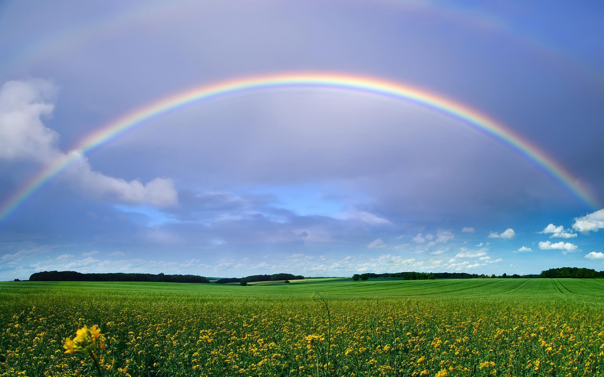 A rainbow can be seen only in the morning or late afternoon. It can occur only when the sun is 40 degrees or less above the horizon.