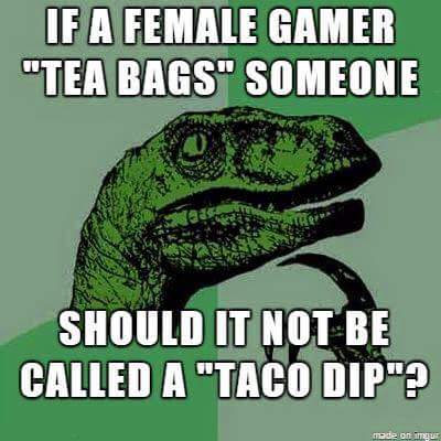 offensive meme - good puns - If A Female Gamer "Tea Bags" Someone Should It Not Be Called A "Taco Dip"? mode on ng