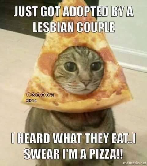 offensive meme - you can t make everyone happy meme - Just Got Adopted By A Lesbian Couple Doso 9% 2014 I Heard What They Eat. Swear I'M A Pizza!! mematic.net