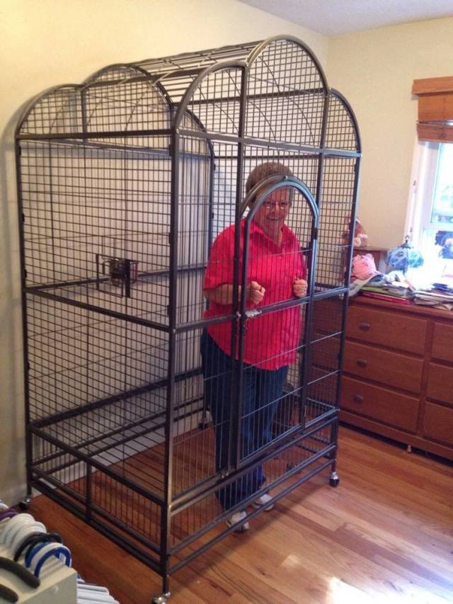 grandma in birdcage