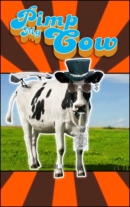 cow in a field - rimp My Gow Coro