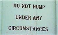 circumstances - Do Not Hump Under Any Circumstances