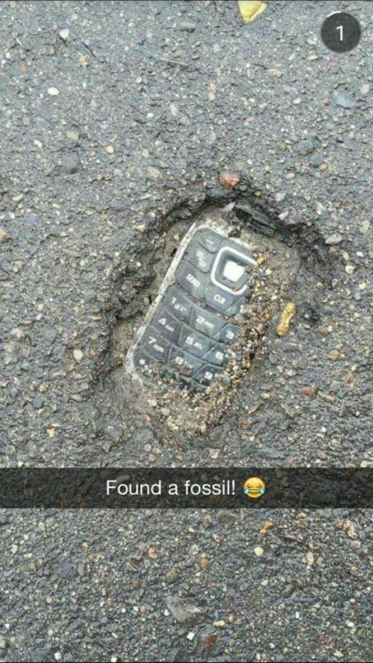 found a fossil phone - Found a fossil!