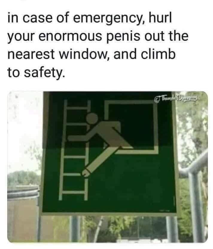 case of emergency hurl your enormous penis - in case of emergency, hurl your enormous penis out the nearest window, and climb to safety. Thunde fungeon
