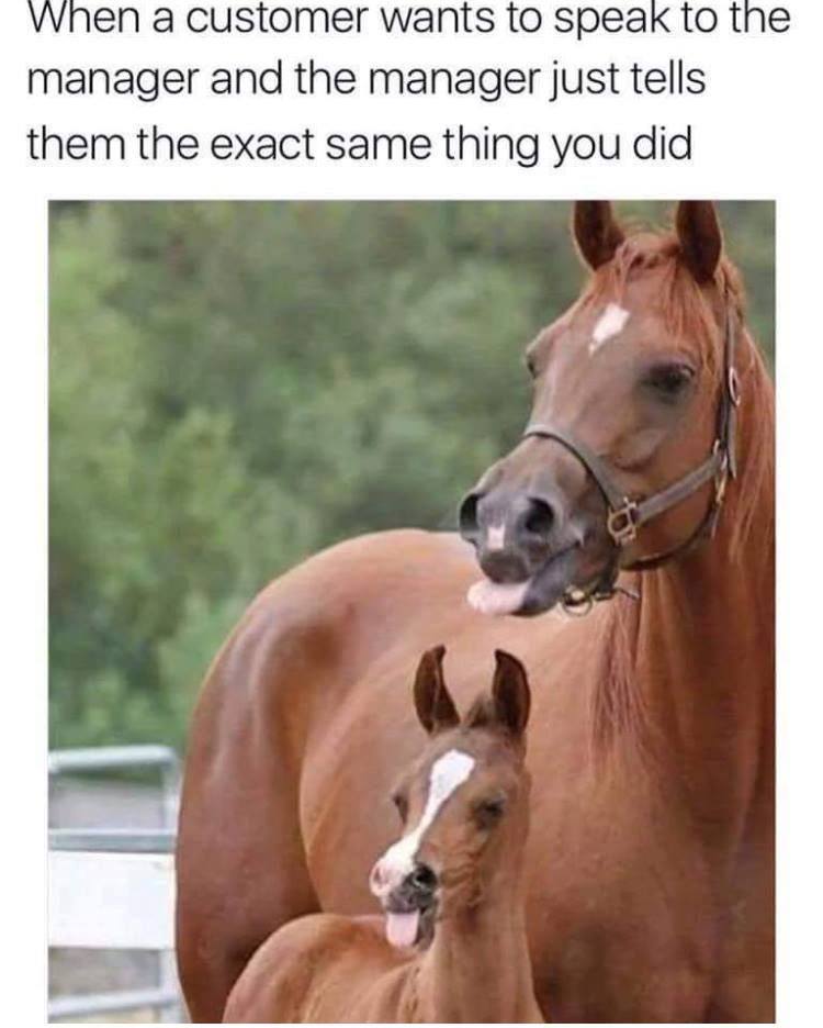 manager horse meme - When a customer wants to speak to the manager and the manager just tells them the exact same thing you did
