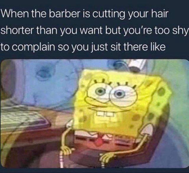 barber is cutting your hair shorter - When the barber is cutting your hair shorter than you want but you're too shy to complain so you just sit there
