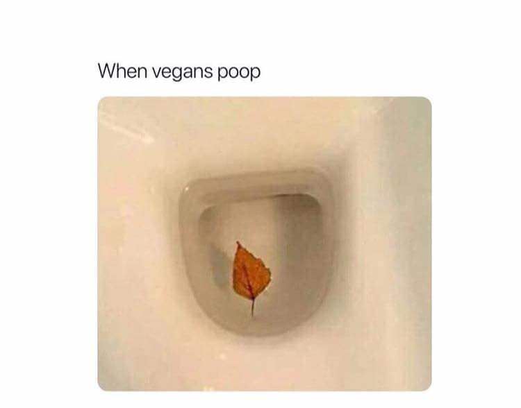 random pic vegans poop - When vegans poop