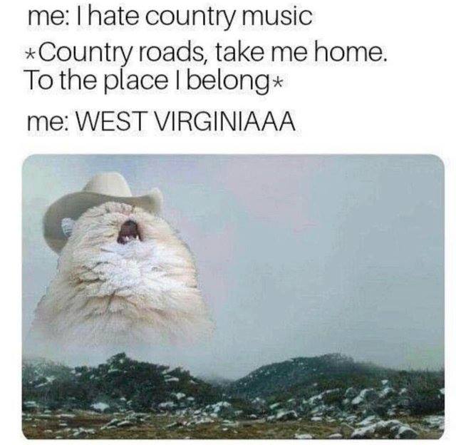 nostalgia - hate country music meme - me I hate country music Country roads, take me home. To the place I belong me West Virginiaaa