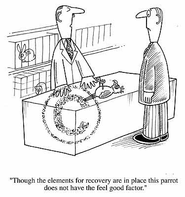 cartoon - "Though the elements for recovery are in place this parrot does not have the feel good factor."