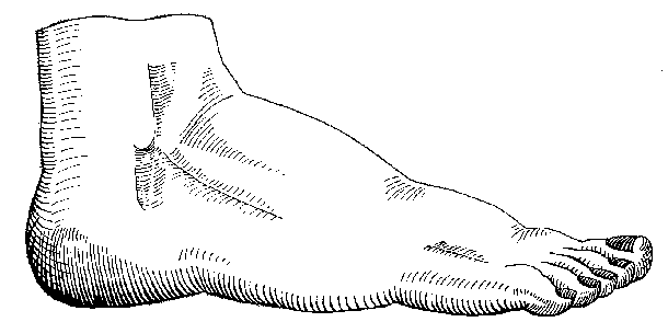 sketch of a foot