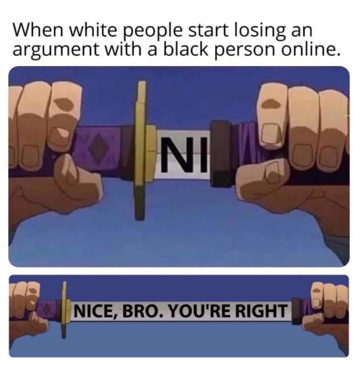 unsheathing sword meme - When white people start losing an argument with a black person online. Nice, Bro. You'Re Right