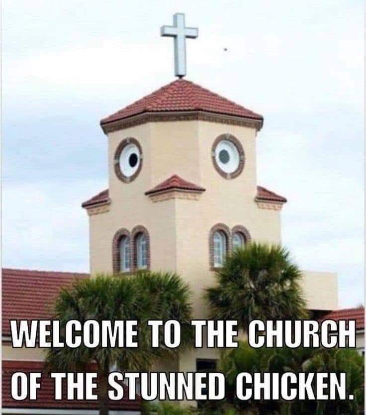 church of the stunned chicken - Welcome To The Church Of The Stunned Chicken.
