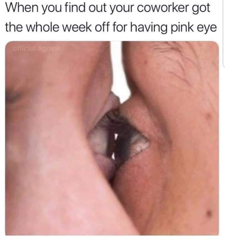 reddit tihi - When you find out your coworker got the whole week off for having pink eye official.agnes