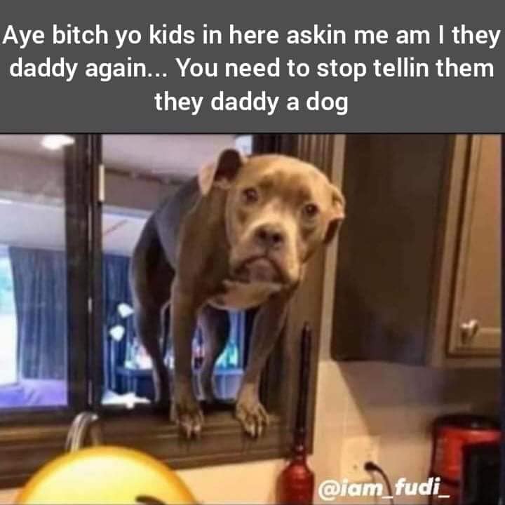 bitch you ain t hear me barking - Aye bitch yo kids in here askin me am I they daddy again... You need to stop tellin them they daddy a dog