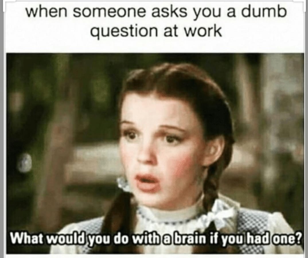 memes about not wanting to work - when someone asks you a dumb question at work What would you do with a brain if you had one?