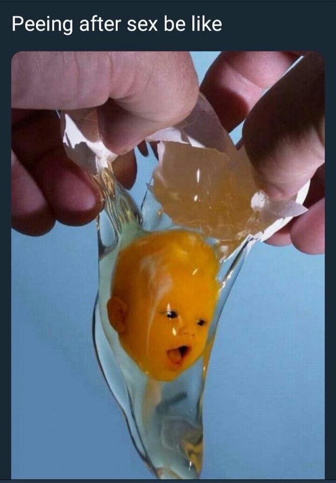 baby egg yolk meme - Peeing after sex be