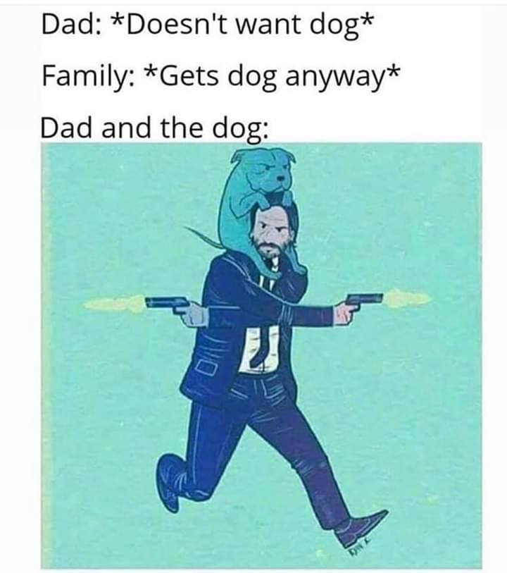 dad doesn t want dog family gets dog anyway - Dad Doesn't want dog Family Gets dog anyway Dad and the dog