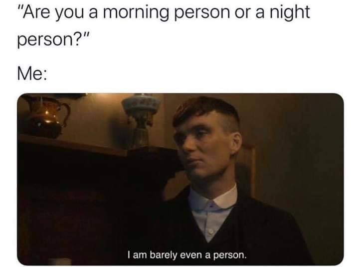 you a morning person or a night person meme - "Are you a morning person or a night person?" Me I am barely even a person.
