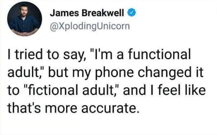 justine skye and wizkid - James Breakwell I tried to say, "I'm a functional adult, but my phone changed it to "fictional adult," and I feel that's more accurate.