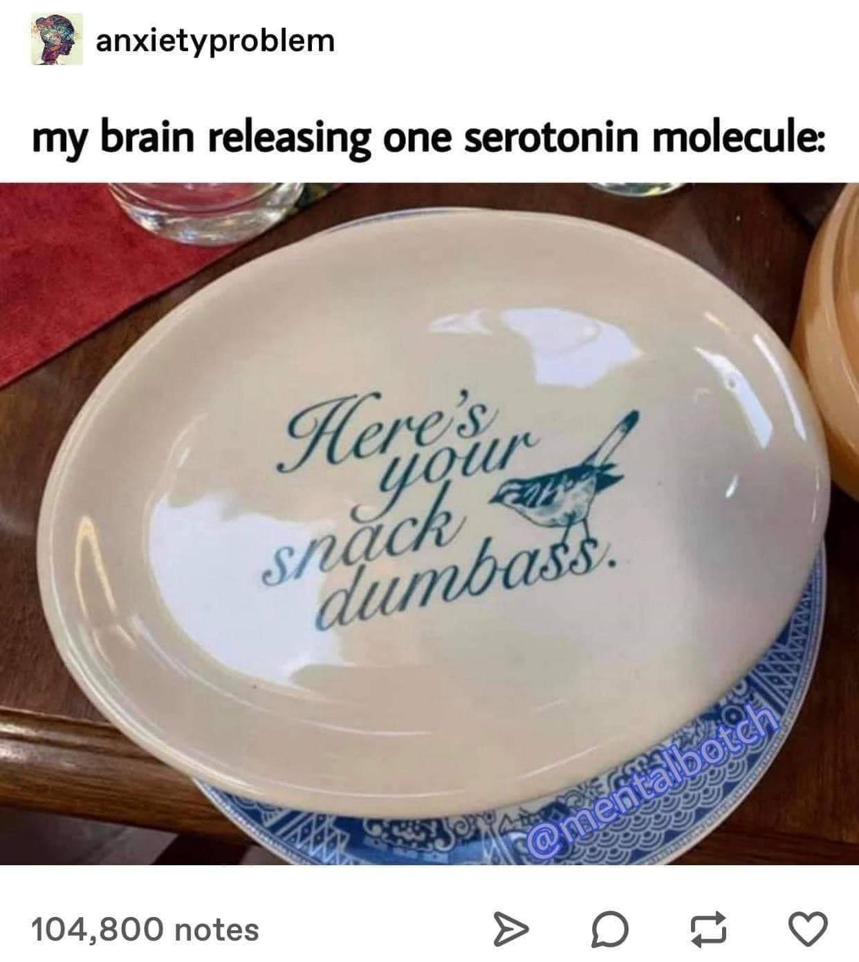 plate - anxietyproblem my brain releasing one serotonin molecule Hercourage a snack dumbass. komentlbotch 104,800 notes
