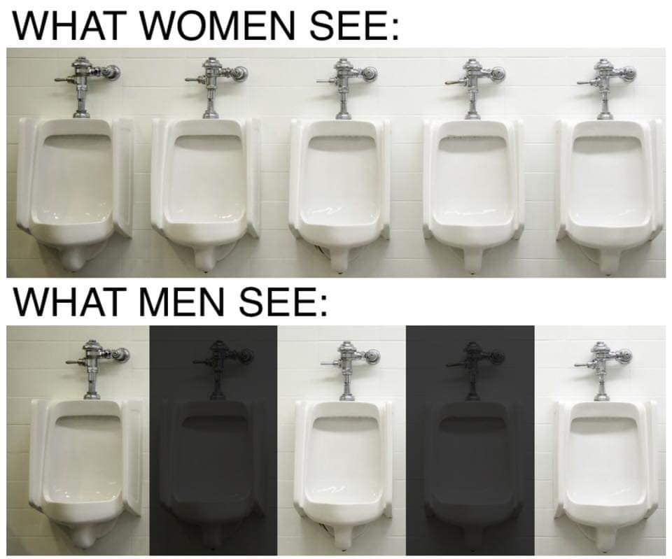 Internet meme - What Women See What Men See