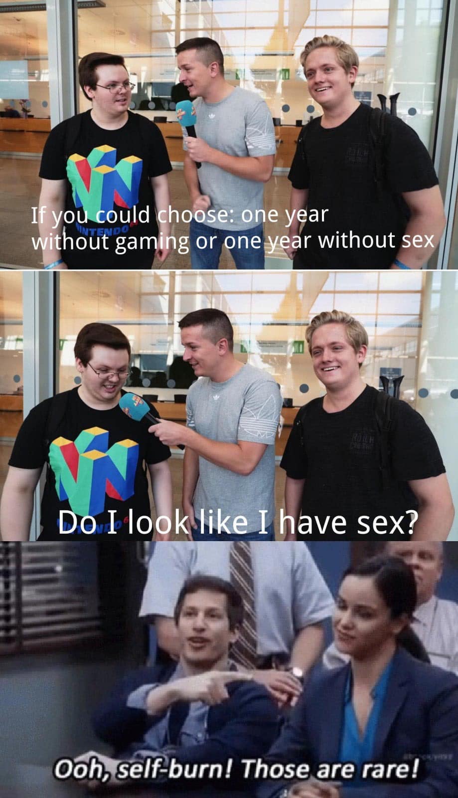 Internet meme - If you could choose one year without gaming or one year without sex Endo Do I look I have sex? Ooh, selfburn! Those are rare!