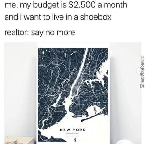 new york city memes - me my budget is $2,500 a month and i want to live in a shoebox realtor say no more Memecenter.com New York