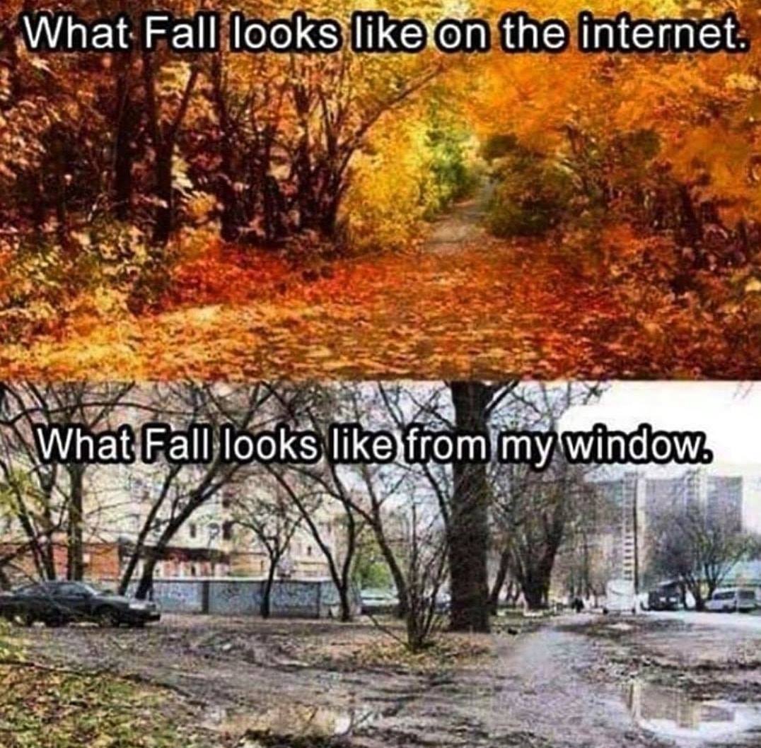 fall looks like on the internet - What Fall looks on the internet What Fall looks from my window.