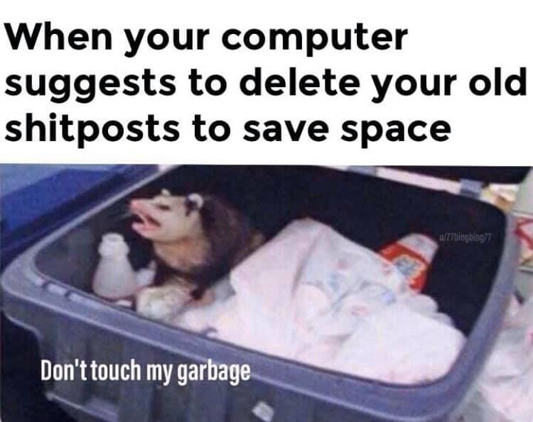 don t touch my garbage - When your computer suggests to delete your old shitposts to save space Thingbinn Don't touch my garbage
