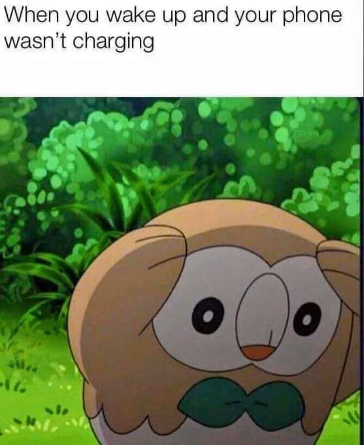 rowlet meme - When you wake up and your phone wasn't charging Co