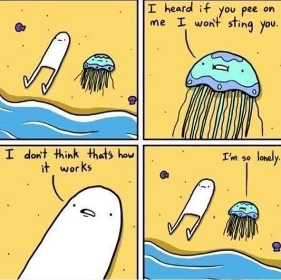 jellyfish meme - I heard if you pee on me I won't sting you. I don't think that's how it works I'm so lonely