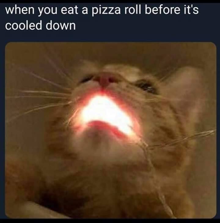 really funny memes - when you eat a pizza roll before it's cooled down