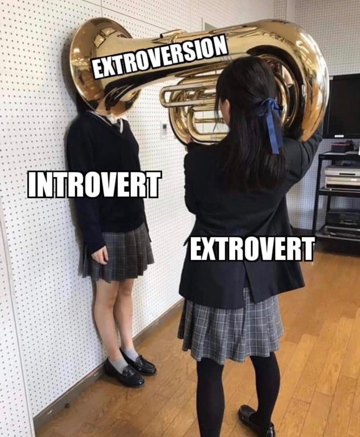 Tuba - Extroversion Introvert Extrovert