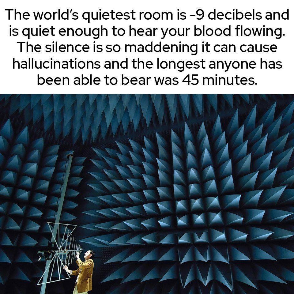 The world's quietest room is 9 decibels and is quiet enough to hear your blood flowing. The silence is so maddening it can cause hallucinations and the longest anyone has been able to bear was 45 minutes.