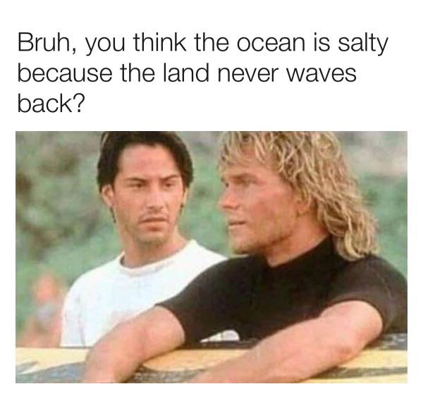pensive meme - Bruh, you think the ocean is salty because the land never waves back?