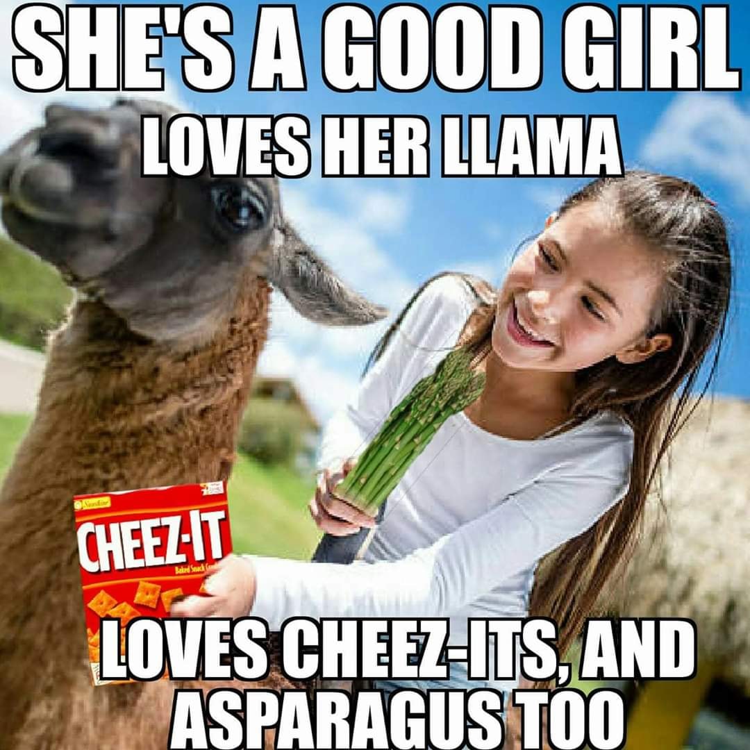 shes a good girl loves her llama - She'S A Good Girl Loves Her Llama Cheezit Sad Loves CheezIts, And Asparagus Too