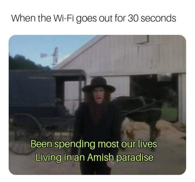 living in an amish paradise - When the WiFi goes out for 30 seconds Been spending most our lives Living in an Amish paradise