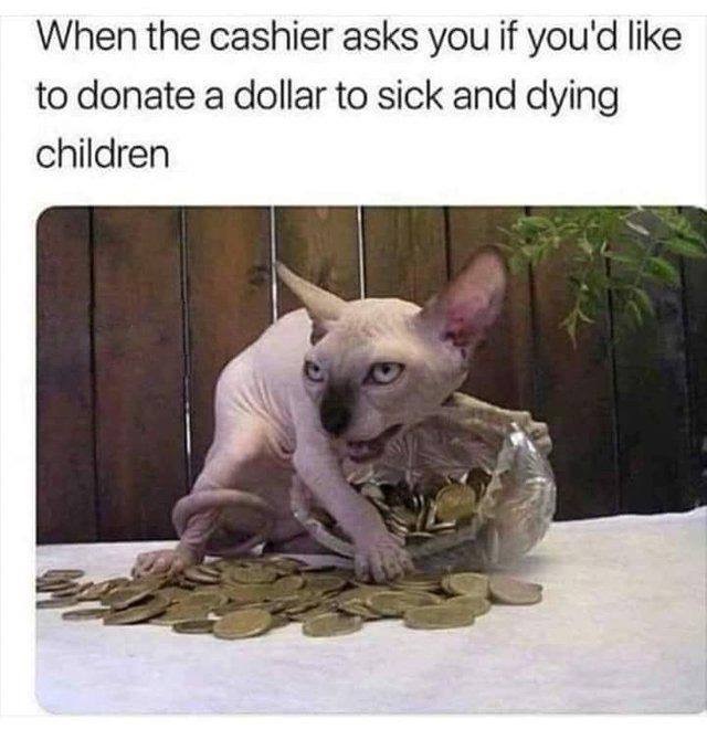 cashier asks if you want - When the cashier asks you if you'd to donate a dollar to sick and dying children