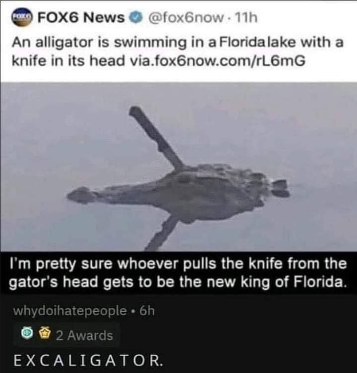 dolphin - Co FOX6 News . 11h An alligator is swimming in a Florida lake with a knife in its head via.fox6now.comrL6mG I'm pretty sure whoever pulls the knife from the gator's head gets to be the new king of Florida. whydoihatepeople. 6h 02 Awards 'Excalig