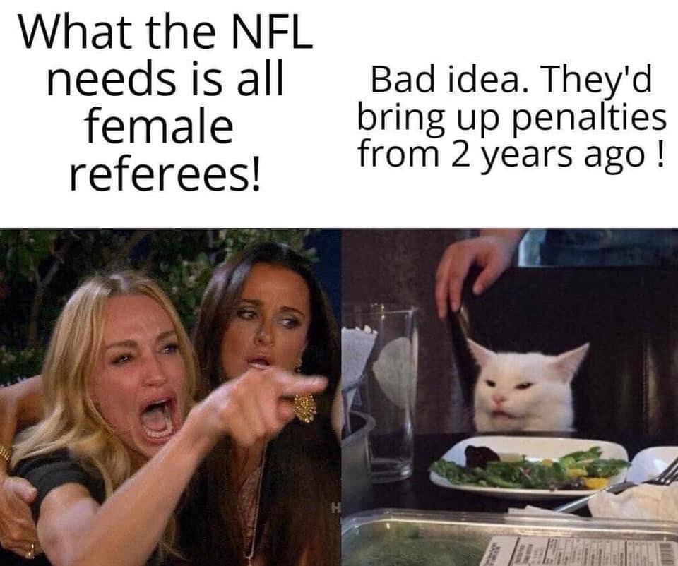 screaming cat meme - What the Nfl female referees! Bad idea. They'd bring up penalties from 2 years ago !