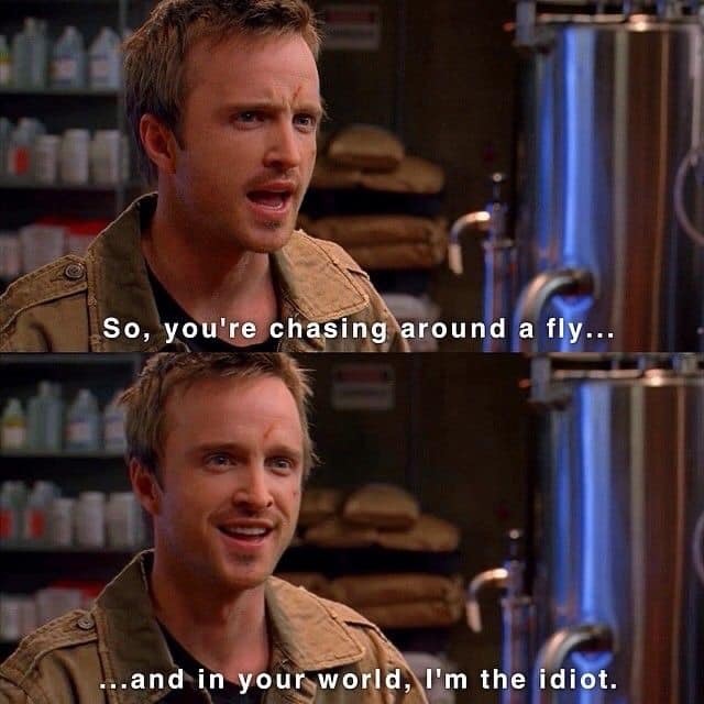 breaking bad fly quotes - So, you're chasing around a fly... ...and in your world, I'm the idiot.