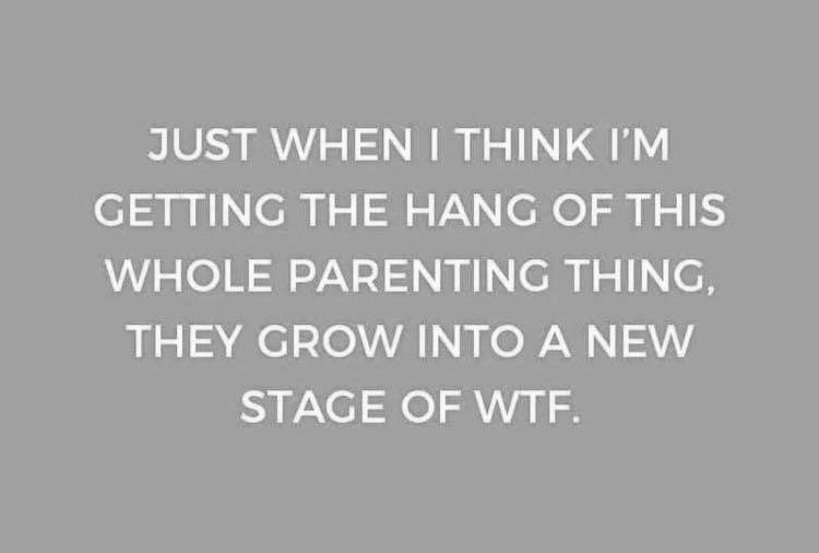 document - Just When I Think I'M Getting The Hang Of This Whole Parenting Thing, They Grow Into A New Stage Of Wtf.