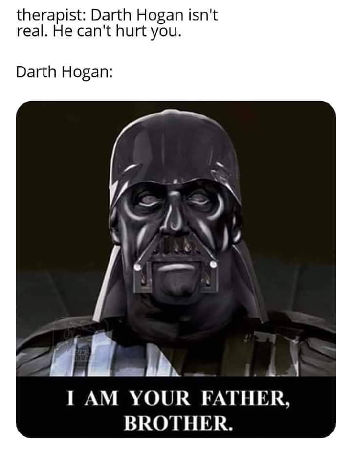 vader hulk hogan - therapist Darth Hogan isn't real. He can't hurt you. Darth Hogan I Am Your Father, Brother.