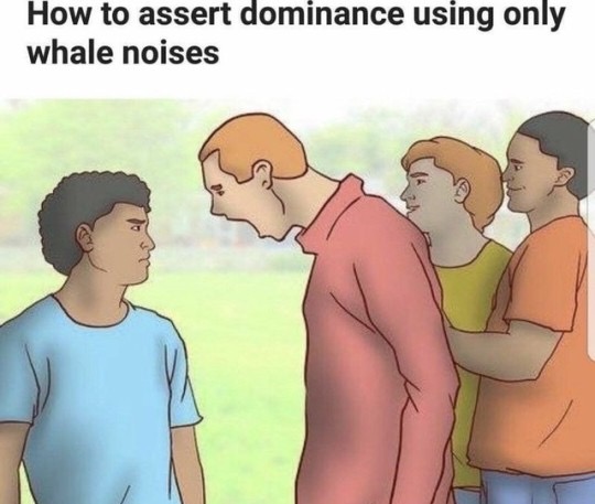 assert dominance meme - How to assert dominance using only whale noises