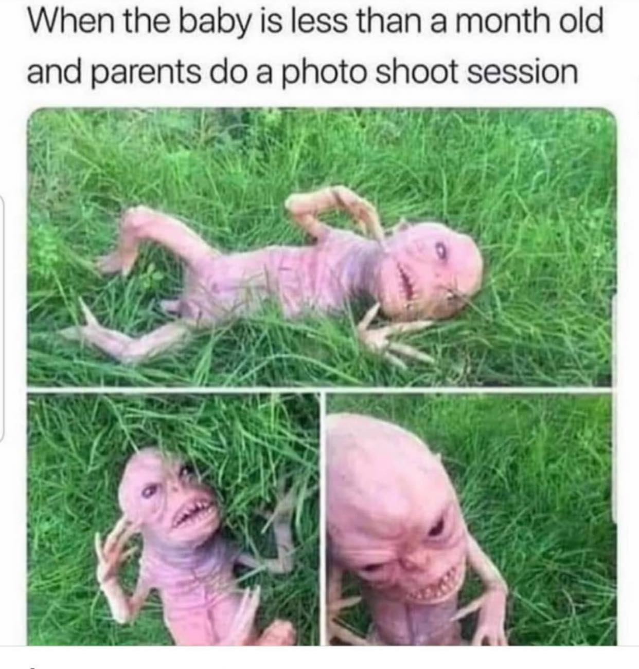 cringiest thing on the internet - When the baby is less than a month old and parents do a photo shoot session