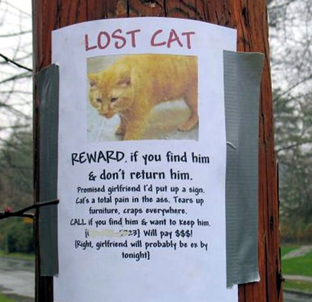 funny lost cat poster - Lost Cat Reward. if you find him & don't return him. Promised girlfriend I'd put up a sign. Lal's a total pain in the ass, Tears up furniture, craps everywhere. Call If you find him & want to keep him. 5223 Will pay $$$! Right girl