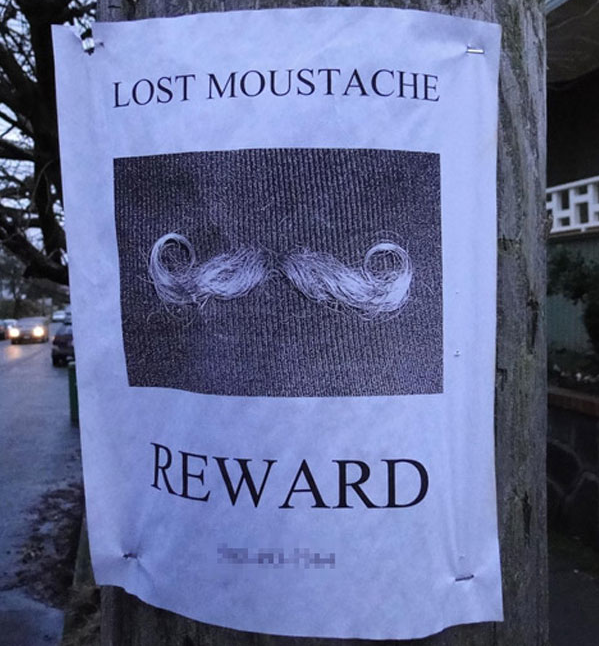 funny lost posters - Lost Moustache Reward